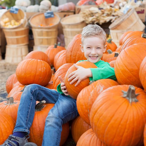 4 Family Activities Your Family Will Love in Firestone, Colorado